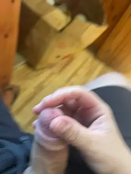 brunonovinho18 online show from 04.02.26