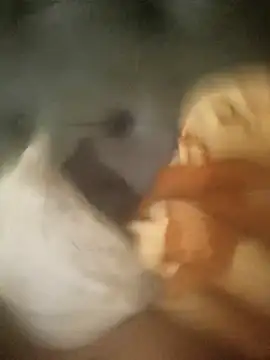 InferredPloce online show from 04.23.26