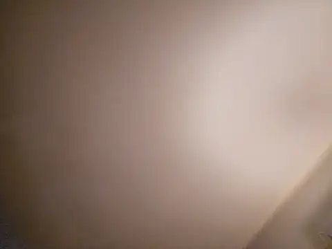 Schlongo420 online show from 01.23.25