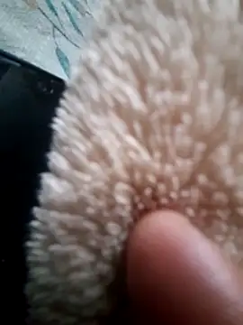 iambesting online show from 02.28.26