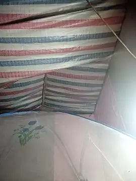 Susu-bae online show from 02.26.26