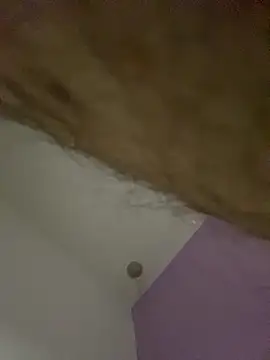 dimitri25987 online show from 04.17.26