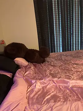 wavywavy12 online show from 04.19.26