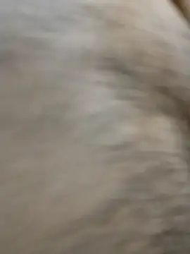 horny boy 45 online show from 04.23.26