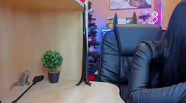 Snapshot of KristiTopxx chatting on 12.28.24 KristiTopxx online show from 12.28.24