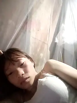 pic8800 online show from 03.31.26