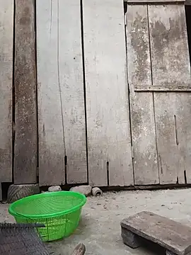 rinrin7700 online show from 04.16.26