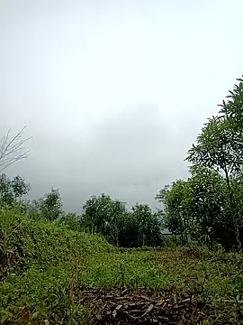 lyly sexx online show from 04.02.26