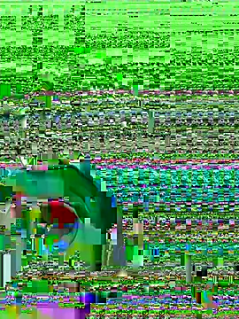 Snapshot of midsize_94 chatting on 02.26.26 midsize 94 online show from 02.26.26