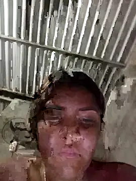 single kitten online show from 03.20.26