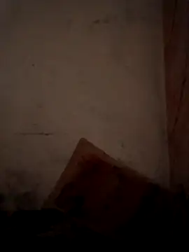 CoralN online show from 04.01.26