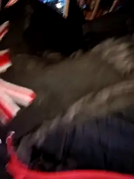 Zorrapunka online show from 03.31.26