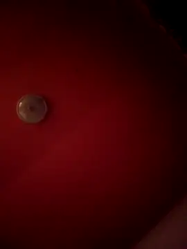 Snapshot of alexandruElena chatting on 02.28.26 alexandruElena online show from 02.28.26