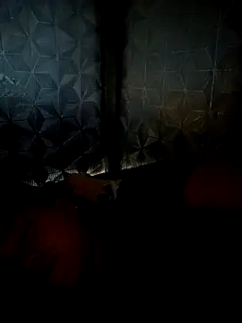 dualeo11 online show from 03.30.26