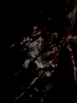 Couple hot999 online show from 03.04.26