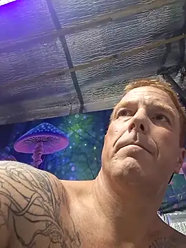 drednasty online show from 03.29.26