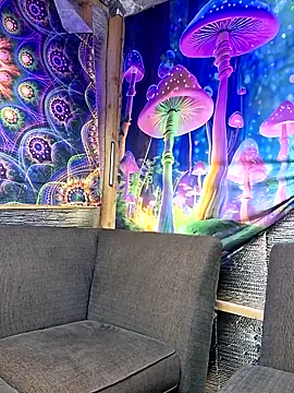 drednasty online show from 03.31.26