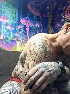 drednasty online show from 04.11.26