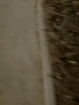 Snapshot of MarekPublicShow chatting on 03.03.26 MarekPublicShow online show from 03.03.26