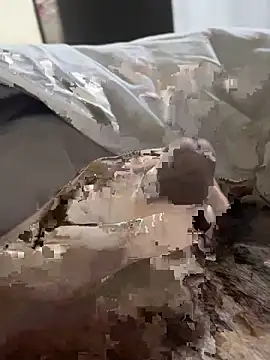 likemonster11 online show from 03.27.26