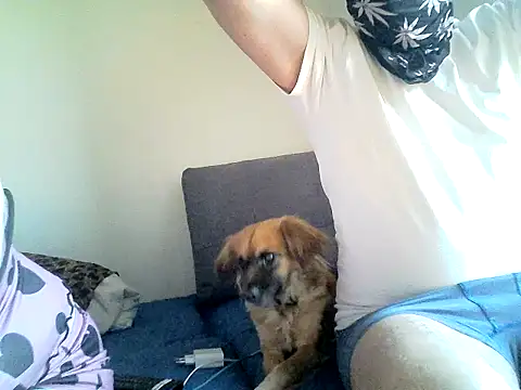 SirNefastus online show from 04.12.26