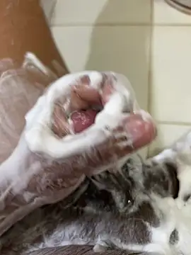 Chotiluli4 online show from 04.12.26