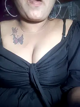 Delhi Patola online show from 04.22.26