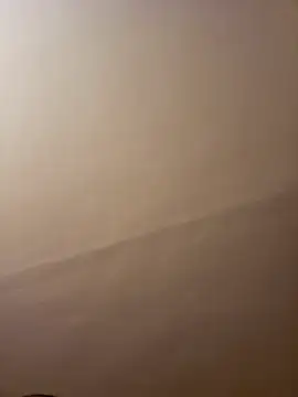 dufatcock online show from 04.10.26