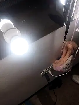 dantegomes online show from 04.20.26