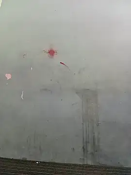 School teacher12 online show from 04.15.26