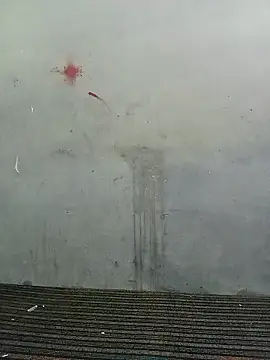 School teacher12 online show from 04.19.26