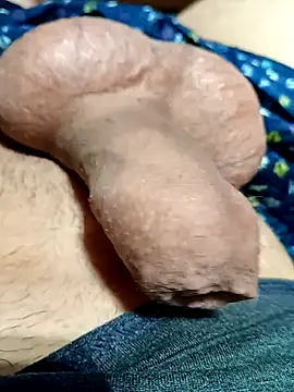 kiwi-strip online show from 03.22.26