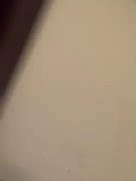 buivali00 online show from 03.15.26