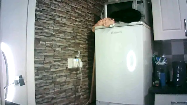 Jimbo4928 online show from 04.23.26