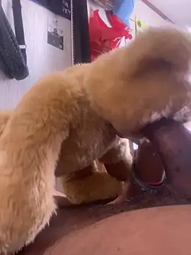 Bigcock127 online show from 03.26.26