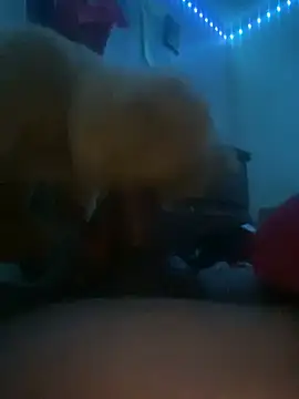 Bigcock127 online show from 03.31.26