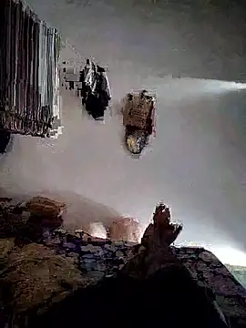 roselover2222 online show from 03.29.26