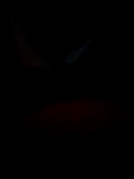 B S0051 online show from 04.10.26