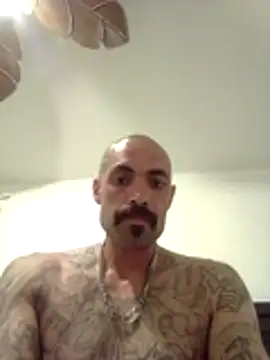 Snapshot of wesstfine chatting on 05.19.26 wesstfine online show from 05.19.26