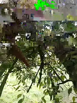 Snapshot of xjkedv chatting on 06.06.26 xjkedv online show from 06.06.26