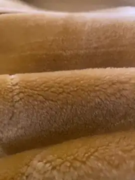 Snapshot of Ashwak_trans chatting on 04.04.26 Ashwak trans online show from 04.04.26