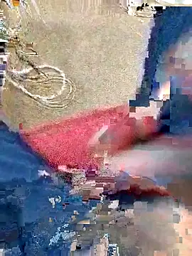 SLBL online show from 04.02.26