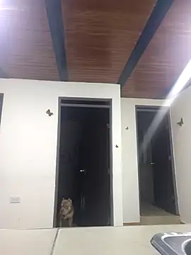 yvonne 1998 online show from 04.15.26