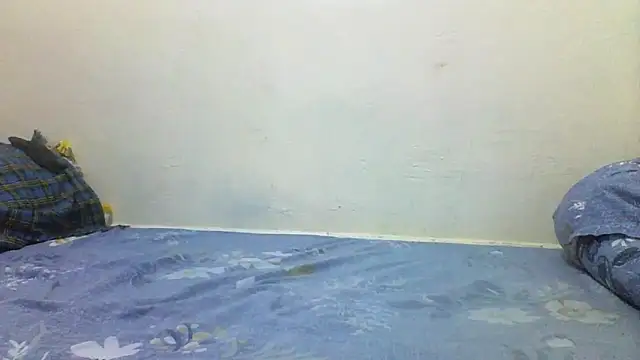 chauke2345 online show from 04.20.26