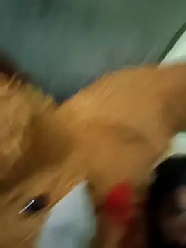 vishnu indian01 online show from 03.30.26