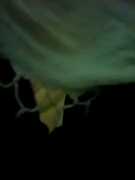 Snapshot of yourdreamman007_ chatting on 03.31.26 yourdreamman007 online show from 03.31.26