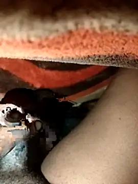 chickelikeme online show from 04.09.26