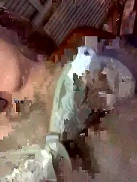 Latinshott online show from 04.06.26