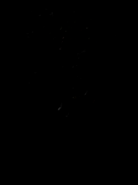 Snapshot of Rocky_pune chatting on 04.08.26 Rocky pune online show from 04.08.26