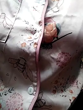 Snapshot of giahan1 chatting on 04.10.26 giahan1 online show from 04.10.26